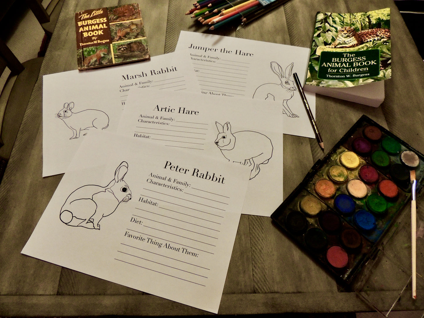 The Burgess Animal Writing & Coloring Book Full PDF