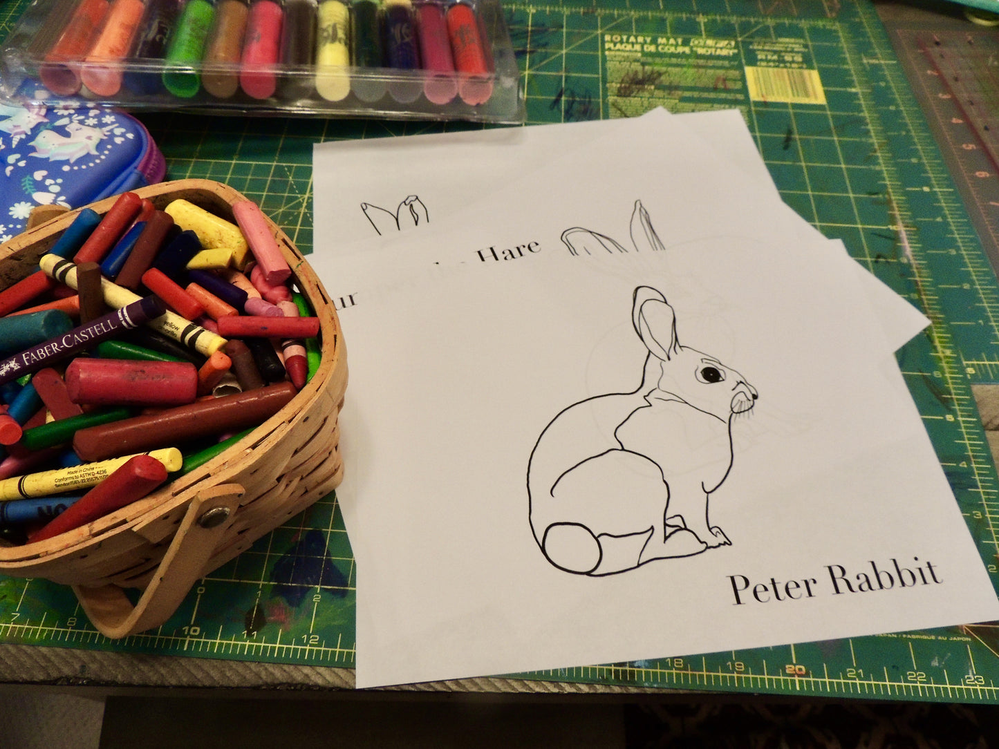 The Burgess Animal Coloring Book Full PDF