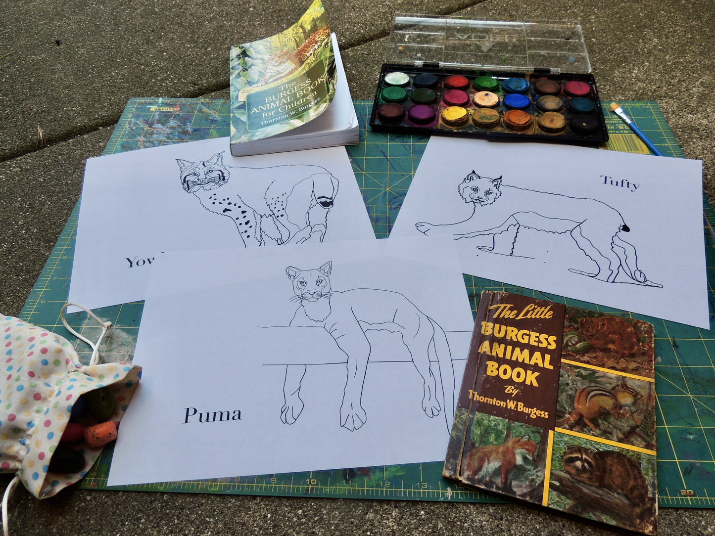 The Burgess Animal Coloring Book Full PDF