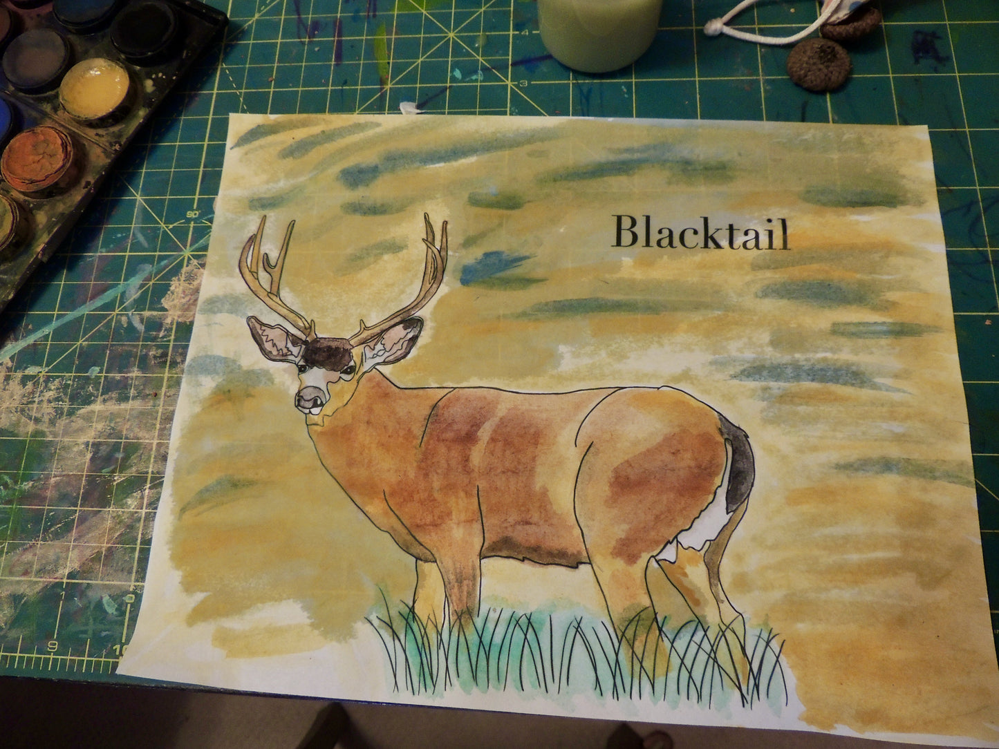 The Burgess Animal Coloring Book Full PDF