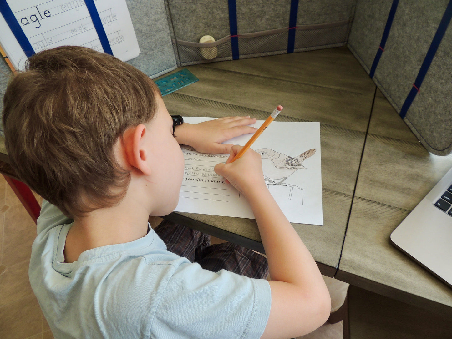 The Burgess Bird Writing & Coloring Book Full PDF