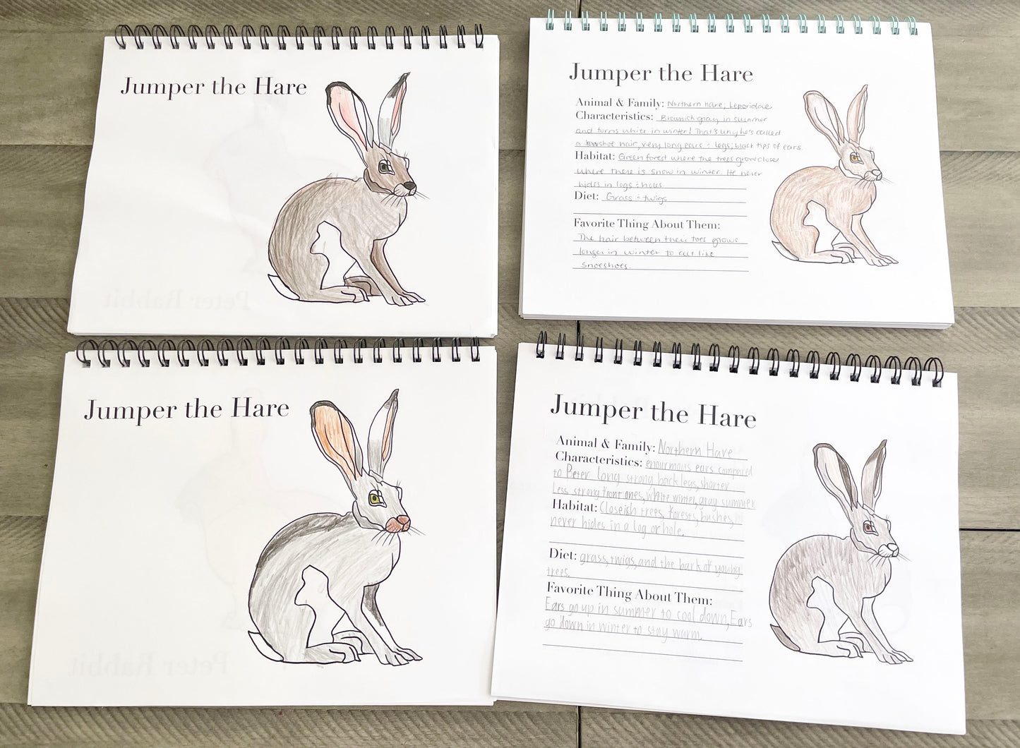 The Burgess Animal Writing & Coloring Book Full PDF