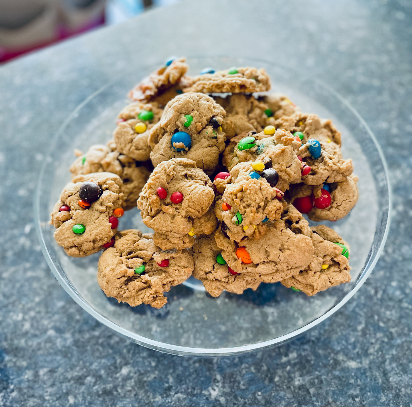 The Penderwicks Book Club Companion, PDF