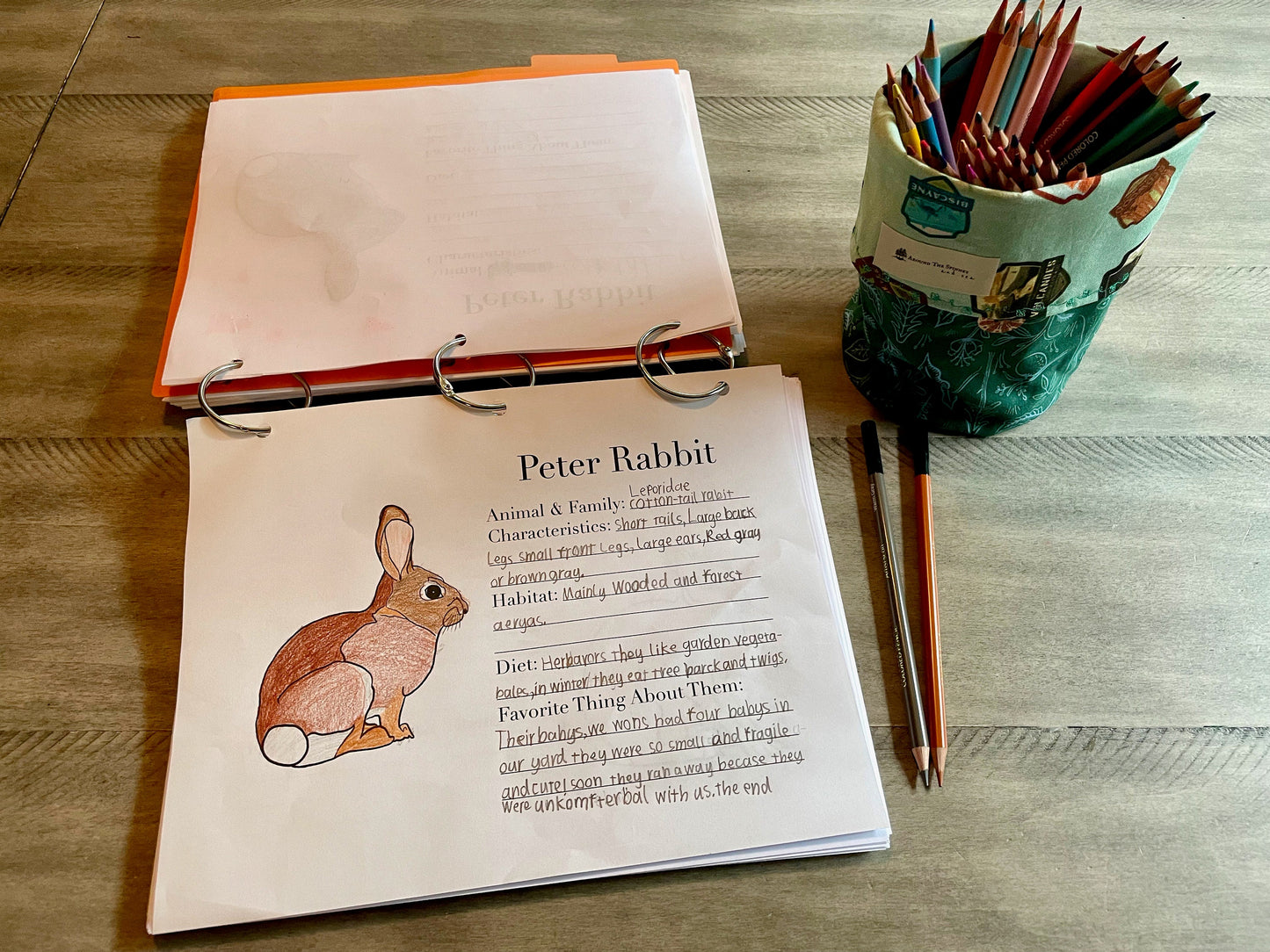 The Burgess Animal Writing & Coloring Book Full PDF