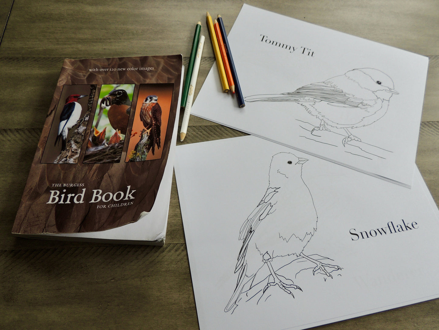 The Burgess Bird Coloring Book Full PDF