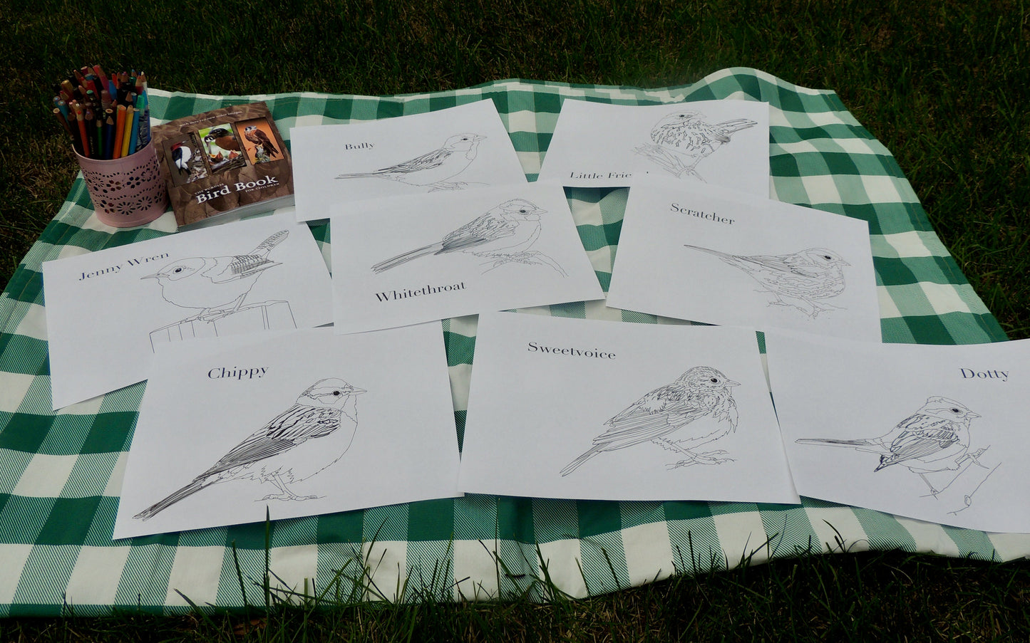 The Burgess Bird Coloring Book Full PDF