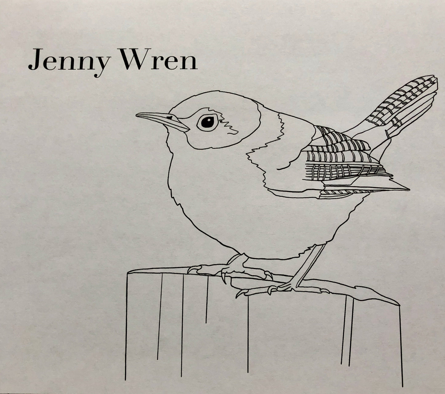 The Burgess Bird Coloring Book Full PDF